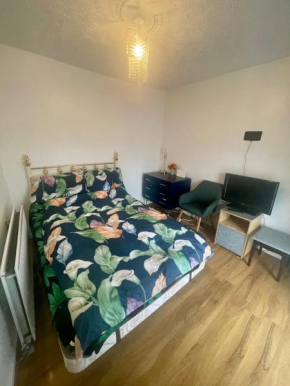 Elegant single-occupancy double bed room(1 person only)